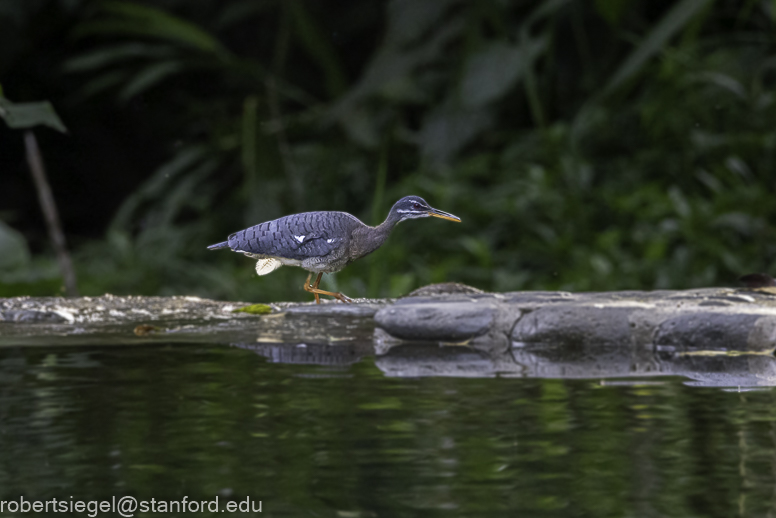 ecuador